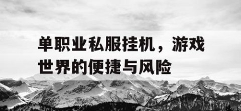 单职业私服挂机，游戏世界的便捷与风险