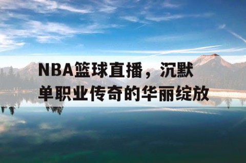 NBA篮球直播，沉默单职业传奇的华丽绽放