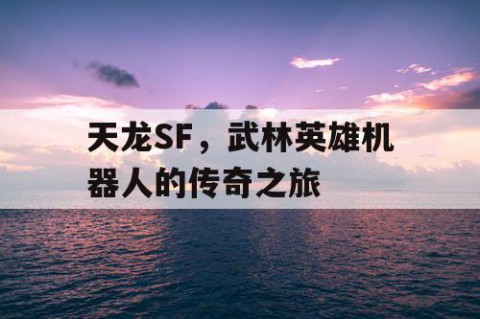 天龙SF，武林英雄机器人的传奇之旅