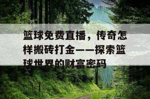 篮球免费直播,传奇怎样搬砖打金——探索篮球世界的财富密码