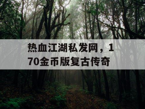 热血江湖私发网，1 70金币版复古传奇