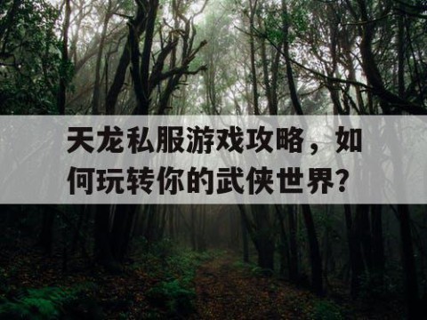 天龙私服游戏攻略，如何玩转你的武侠世界？