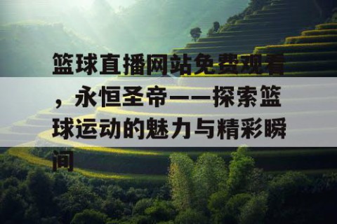 篮球直播网站免费观看，永恒圣帝——探索篮球运动的魅力与精彩瞬间