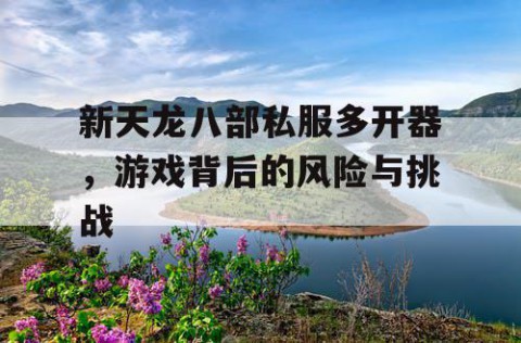 新天龙八部私服多开器，游戏背后的风险与挑战