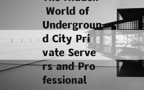 The Hidden World of Underground City Private Servers and Professional Gamers