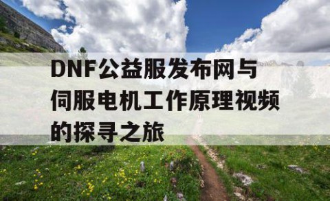 DNF公益服发布网与伺服电机工作原理视频的探寻之旅