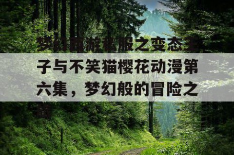 梦幻西游私服之变态王子与不笑猫樱花动漫第六集，梦幻般的冒险之旅