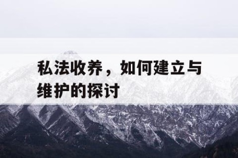 私法收养，如何建立与维护的探讨