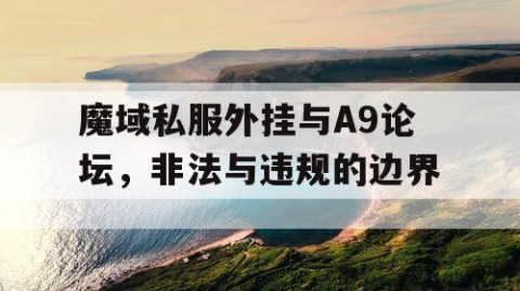魔域私服外挂与A9论坛，非法与违规的边界