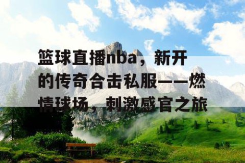 篮球直播nba，新开的传奇合击私服——燃情球场，刺激感官之旅