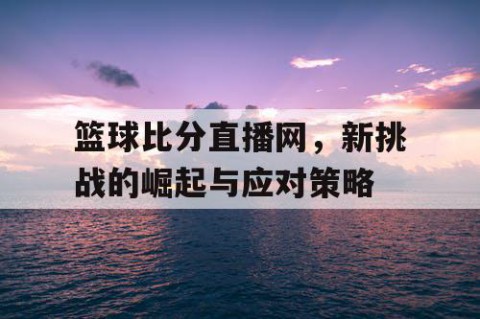 篮球比分直播网,新挑战的崛起与应对策略