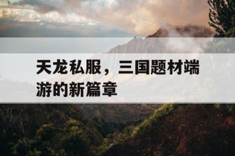 天龙私服，三国题材端游的新篇章