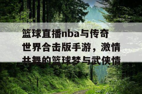篮球直播nba与传奇世界合击版手游，激情共舞的篮球梦与武侠情