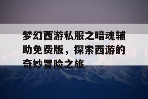梦幻西游私服之暗魂辅助免费版，探索西游的奇妙冒险之旅