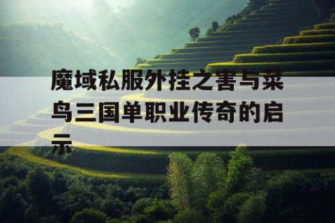 魔域私服外挂之害与菜鸟三国单职业传奇的启示