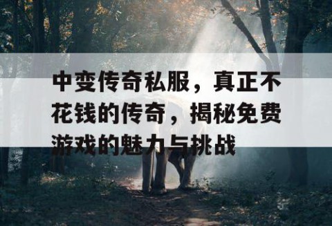 中变传奇私服，真正不花钱的传奇，揭秘免费游戏的魅力与挑战