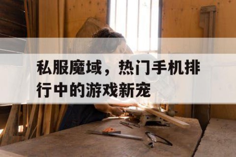 私服魔域，热门手机排行中的游戏新宠