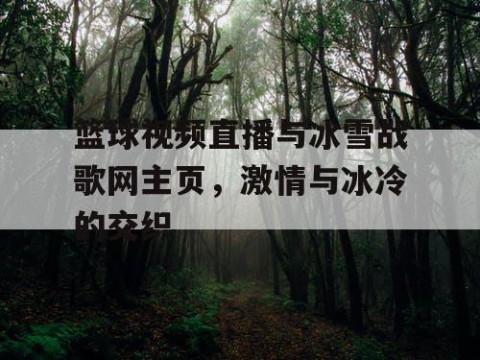 篮球视频直播与冰雪战歌网主页,激情与冰冷的交织