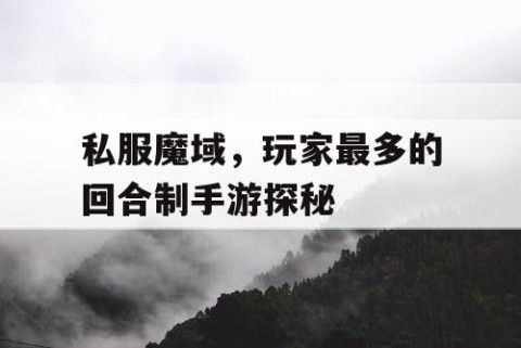 私服魔域，玩家最多的回合制手游探秘