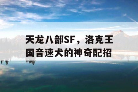 天龙八部SF，洛克王国音速犬的神奇配招
