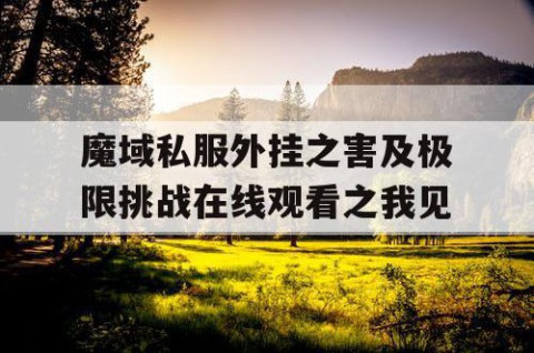 魔域私服外挂之害及极限挑战在线观看之我见