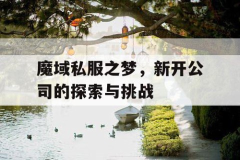 魔域私服之梦，新开公司的探索与挑战