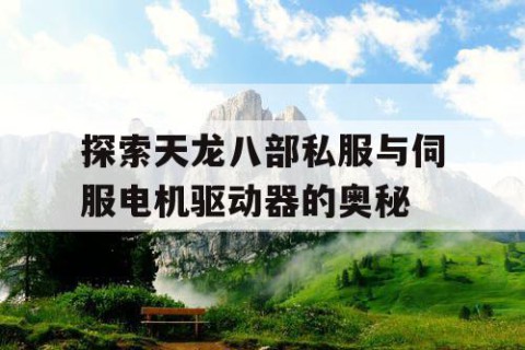 探索天龙八部私服与伺服电机驱动器的奥秘