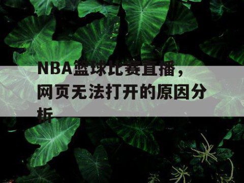 NBA篮球比赛直播,网页无法打开的原因分析