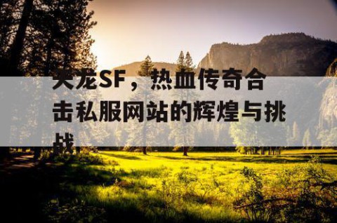 天龙SF，热血传奇合击私服网站的辉煌与挑战