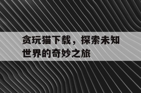 贪玩猫下载，探索未知世界的奇妙之旅