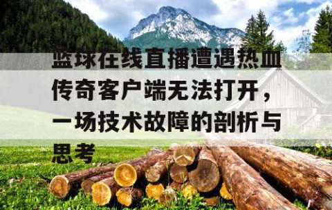 篮球在线直播遭遇热血传奇客户端无法打开，一场技术故障的剖析与思考