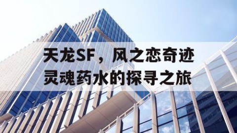 天龙SF，风之恋奇迹灵魂药水的探寻之旅