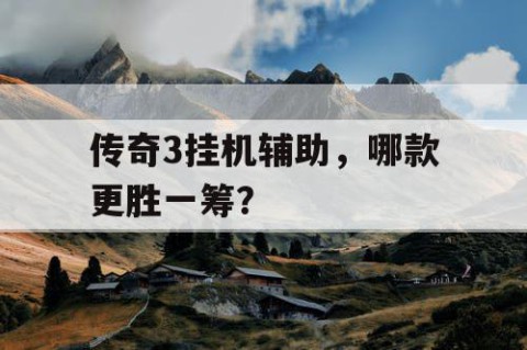 传奇3挂机辅助，哪款更胜一筹？