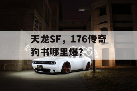 天龙SF，176传奇狗书哪里爆？