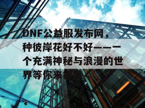 DNF公益服发布网，种彼岸花好不好——一个充满神秘与浪漫的世界等你来探索