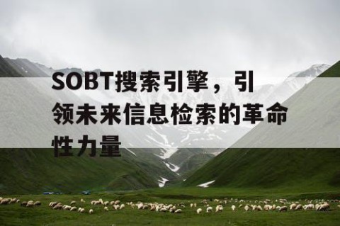 SOBT搜索引擎，引领未来信息检索的革命性力量
