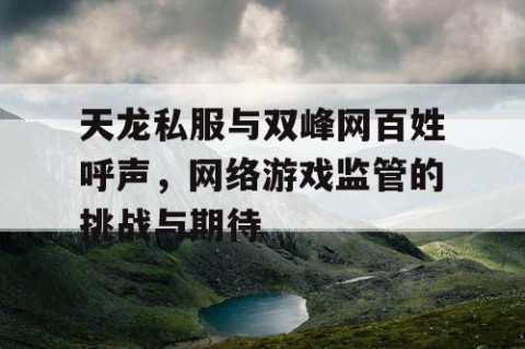 天龙私服与双峰网百姓呼声，网络游戏监管的挑战与期待