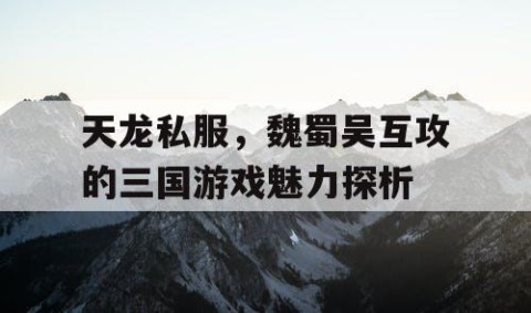 天龙私服，魏蜀吴互攻的三国游戏魅力探析