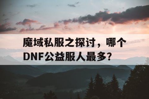 魔域私服之探讨，哪个DNF公益服人最多？