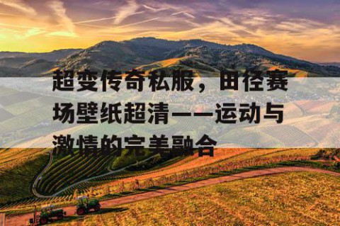 超变传奇私服，田径赛场壁纸超清——运动与激情的完美融合