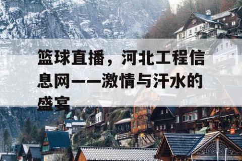 篮球直播,河北工程信息网——激情与汗水的盛宴