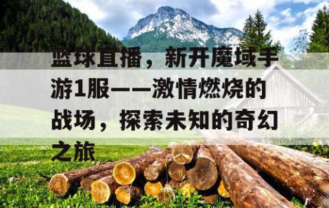 篮球直播，新开魔域手游1服——激情燃烧的战场，探索未知的奇幻之旅