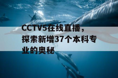 CCTV5在线直播,探索新增37个本科专业的奥秘