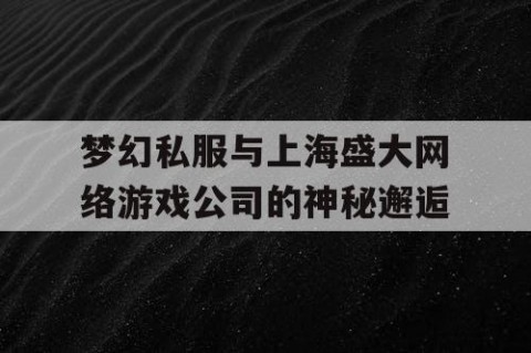 梦幻私服与上海盛大网络游戏公司的神秘邂逅