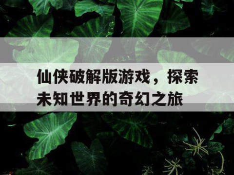 仙侠破解版游戏，探索未知世界的奇幻之旅