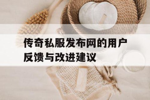 传奇私服发布网的用户反馈与改进建议