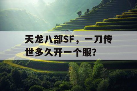 天龙八部SF，一刀传世多久开一个服？