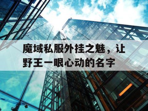 魔域私服外挂之魅，让野王一眼心动的名字