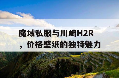 魔域私服与川崎H2R，价格壁纸的独特魅力