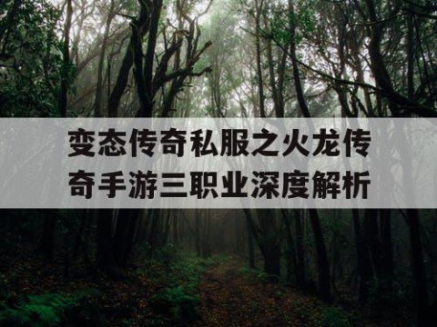 变态传奇私服之火龙传奇手游三职业深度解析